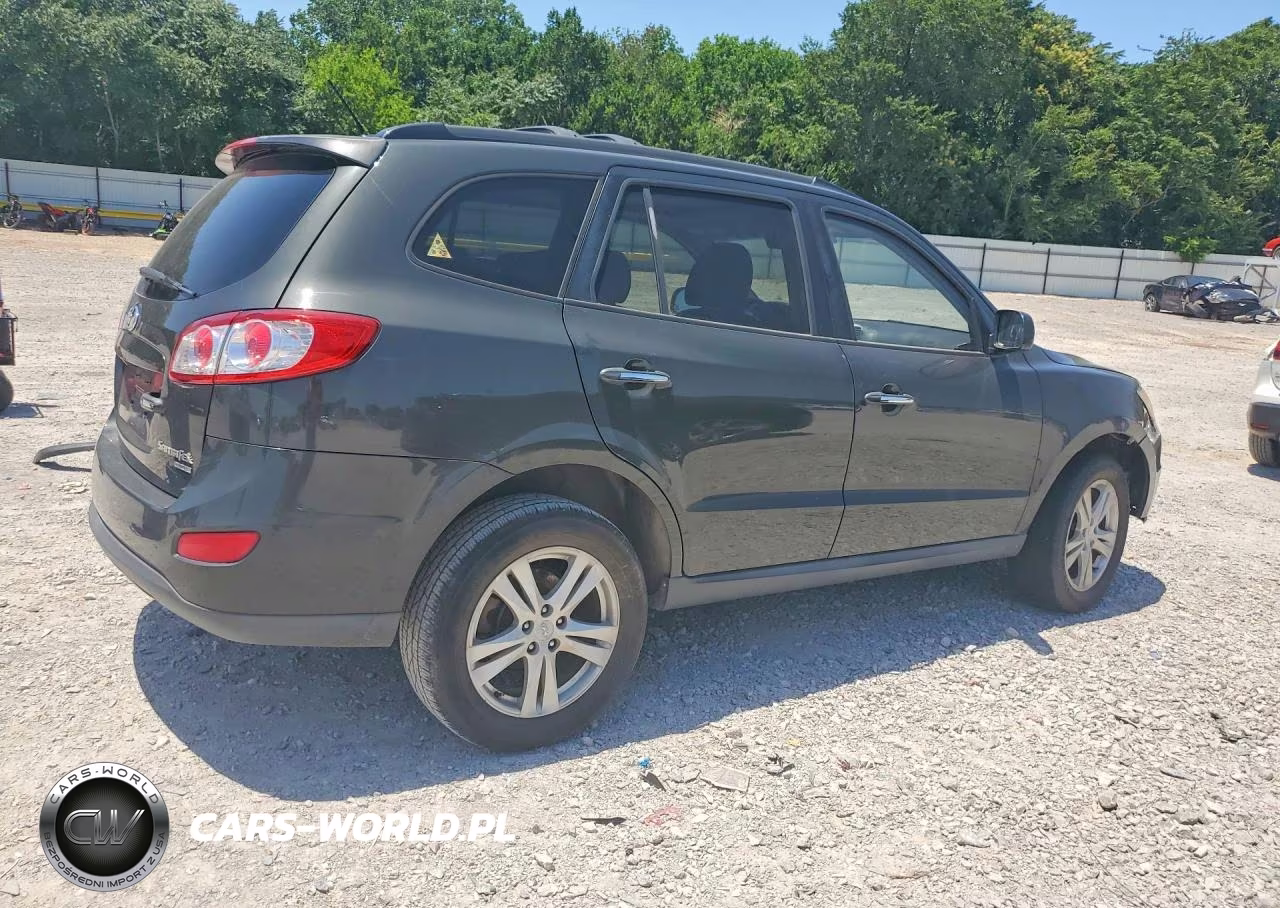 2010 Hyundai Santa Fe Limited VIN:5NMSK3AB9AH392045 - 3