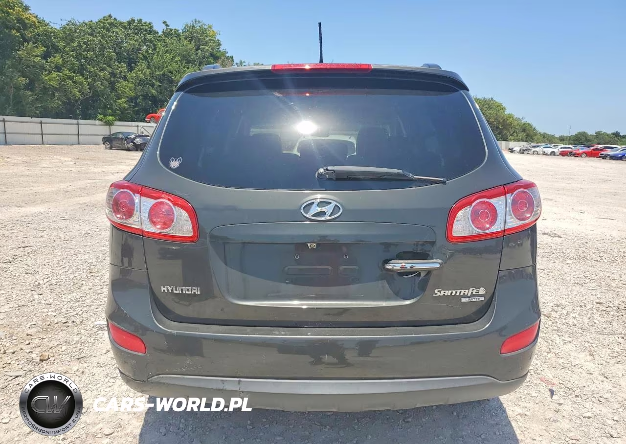 2010 Hyundai Santa Fe Limited VIN:5NMSK3AB9AH392045 - 6