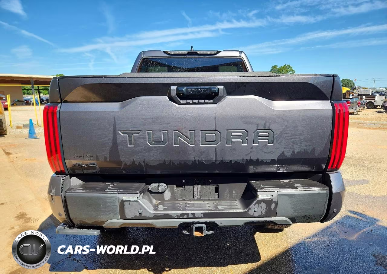 2025 Toyota Tundra Limited VIN:5TFWA5DB8SX320113 - 6