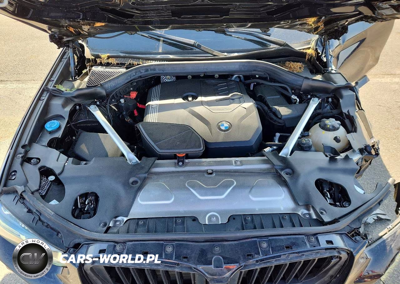 2024 BMW X3 xDrive30I VIN:5UX53DP09R9V39606 - 12