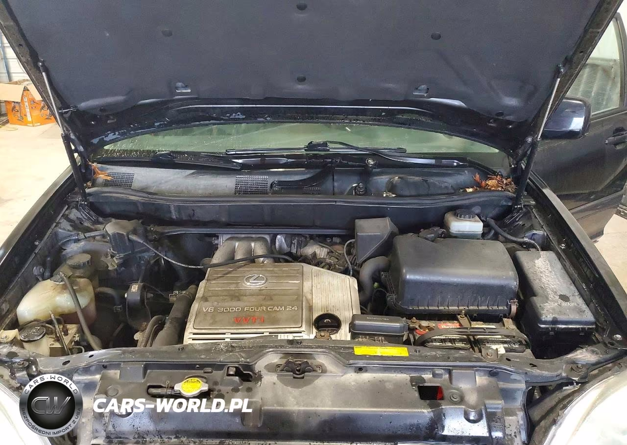 2001 Lexus Rx 300 VIN:JTJHF10U910183682 - 12