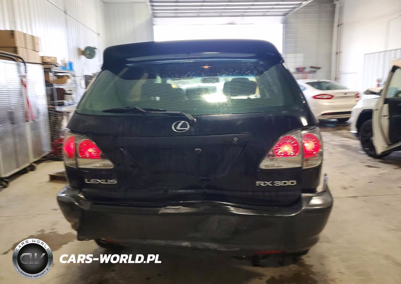 2001 Lexus Rx 300 VIN:JTJHF10U910183682 - 6