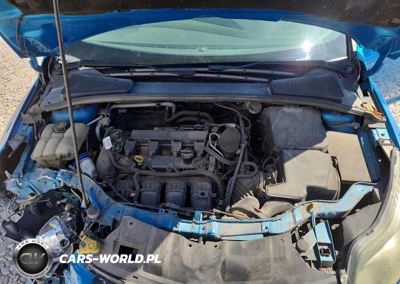 2014 Ford Focus Titanium VIN:1FADP3N21EL213253 - 11