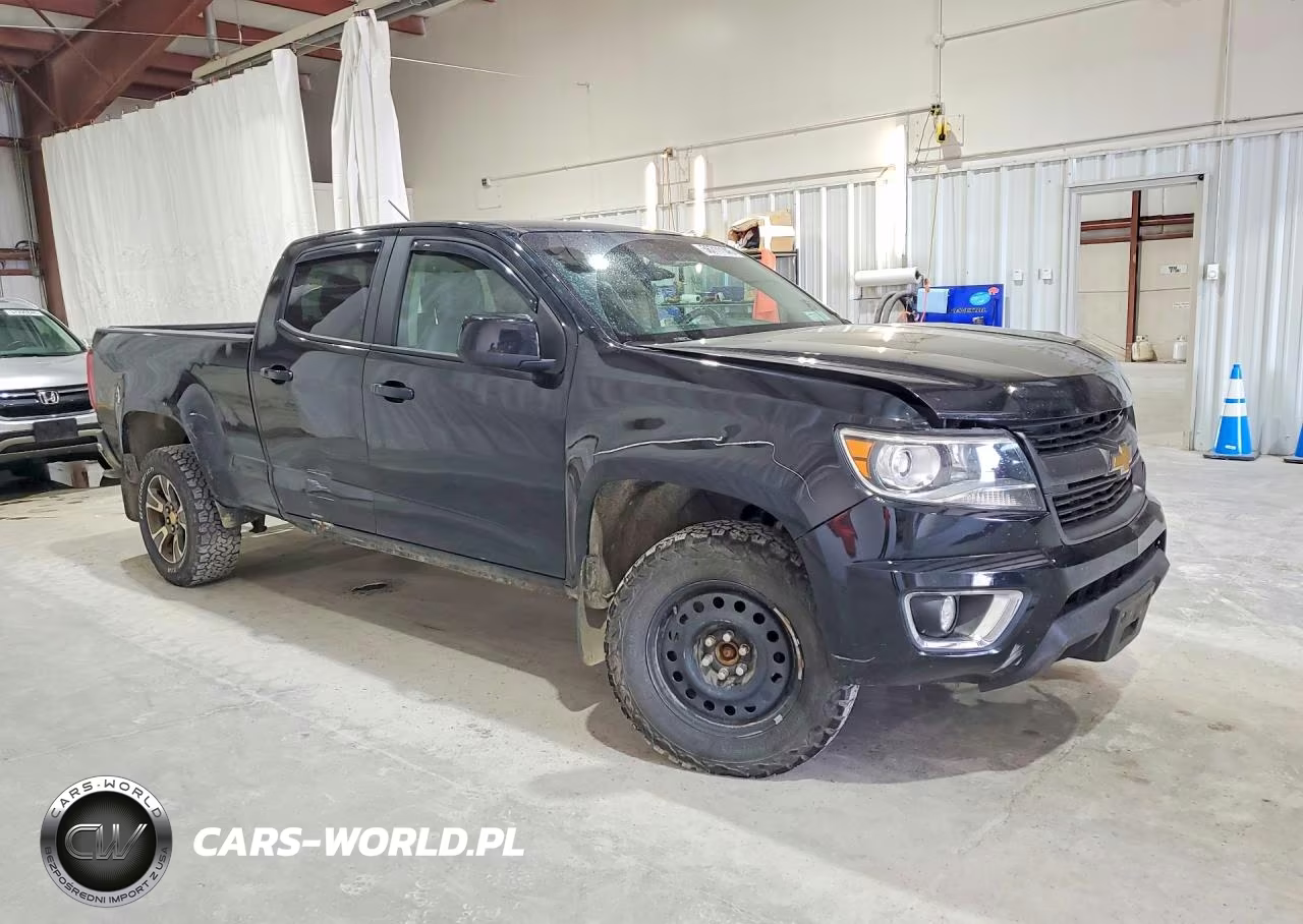 2016 Chevrolet Colorado Z71 VIN:1GCGTDE39G1270929 - 4