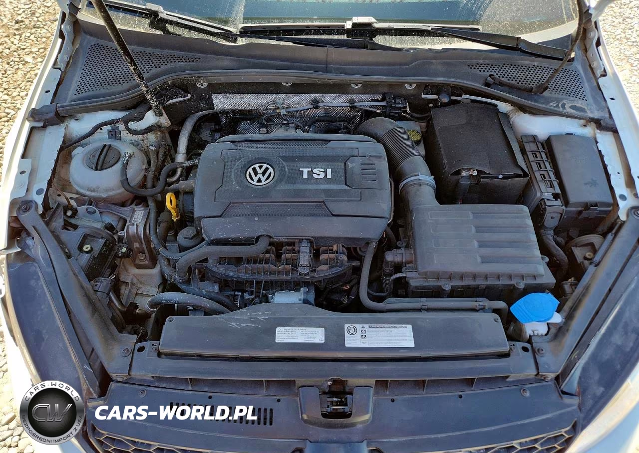 2017 Volkswagen Golf Alltrack S VIN:3VWH17AU1HM536486 - 11
