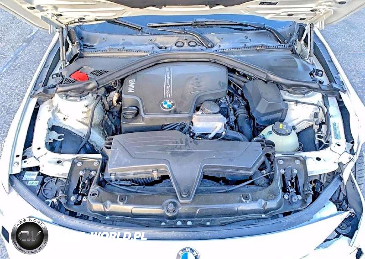 2015 BMW 428 I VIN:WBA3N7C57FK225427 - 10