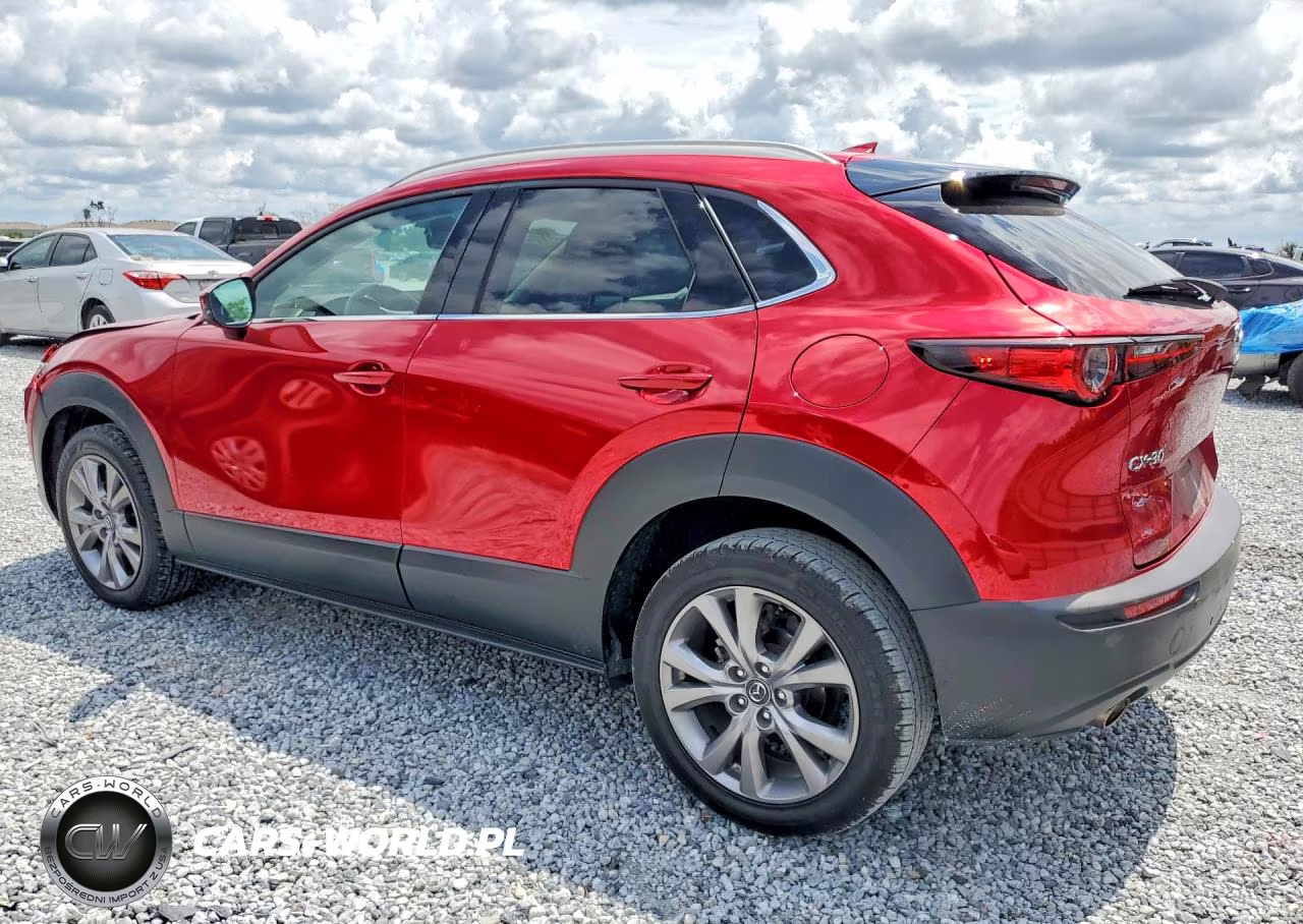 2020 Mazda Cx-30 Premium VIN:3MVDMAEM6LM135460 - 2