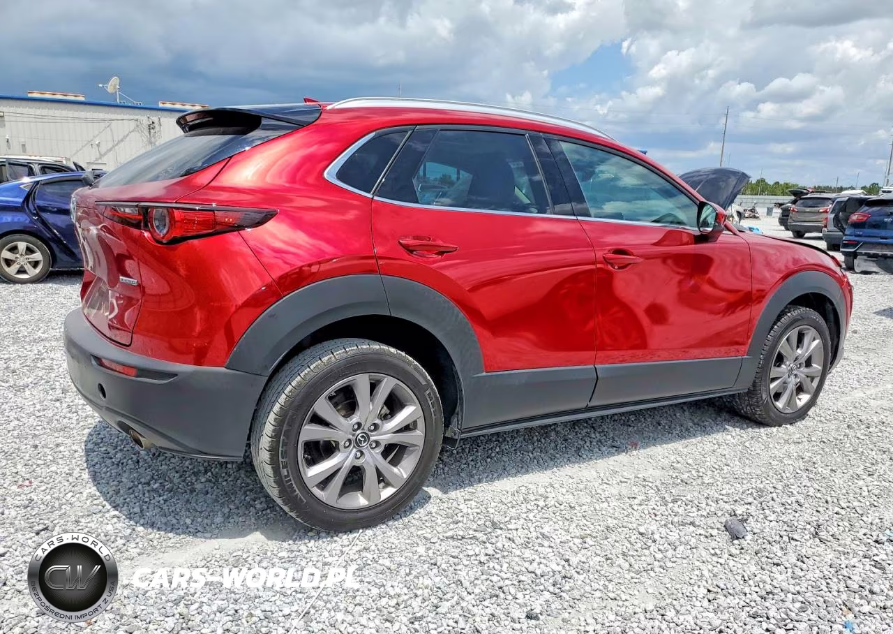 2020 Mazda Cx-30 Premium VIN:3MVDMAEM6LM135460 - 3