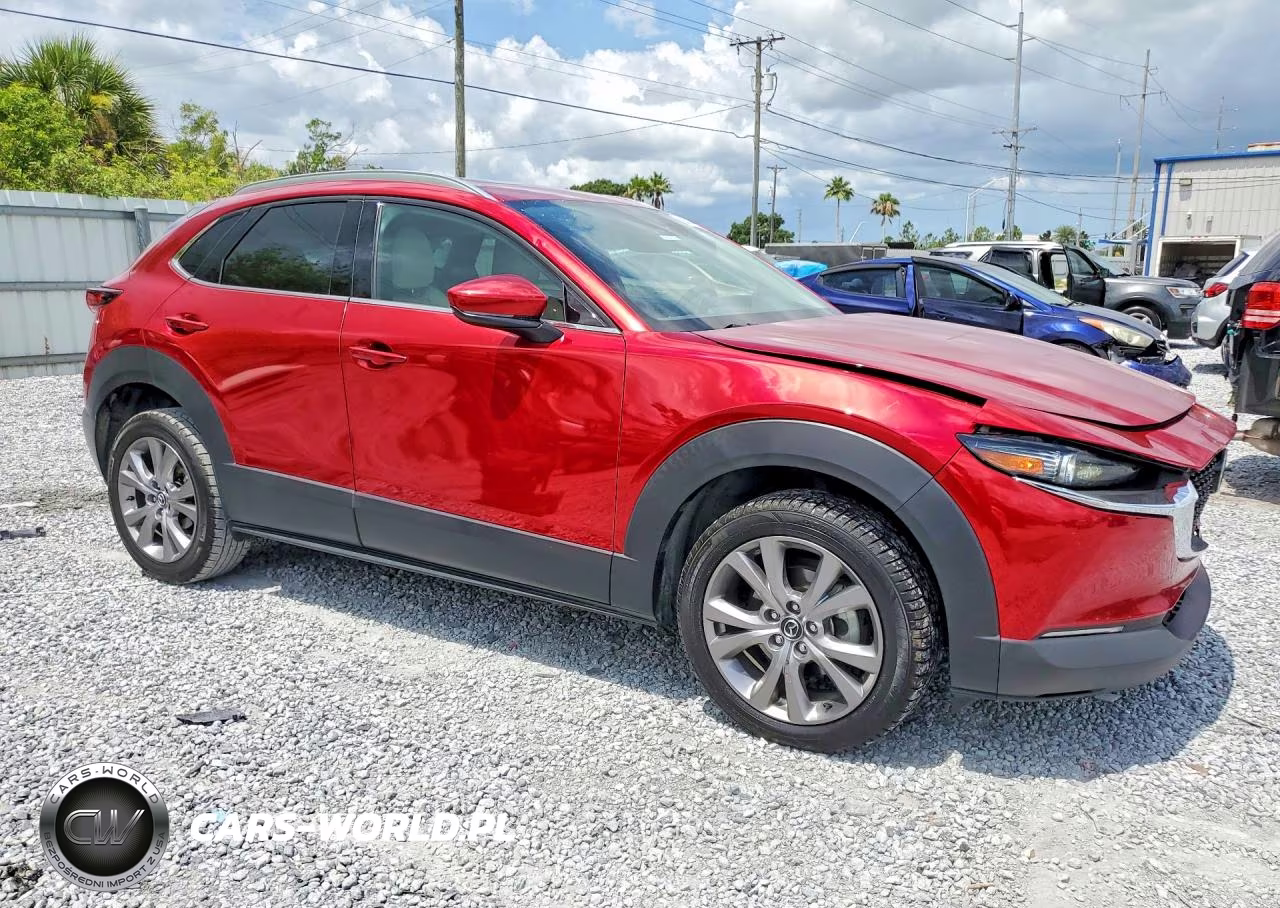 2020 Mazda Cx-30 Premium VIN:3MVDMAEM6LM135460 - 4