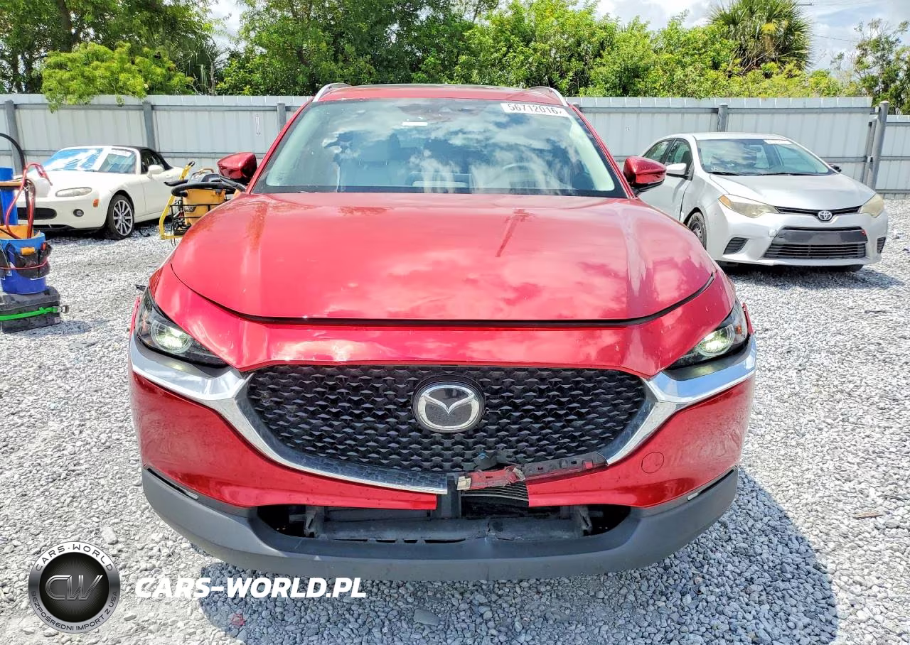2020 Mazda Cx-30 Premium VIN:3MVDMAEM6LM135460 - 5