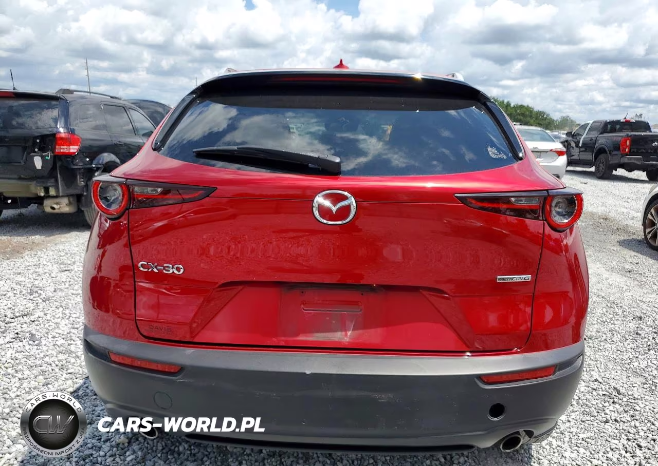 2020 Mazda Cx-30 Premium VIN:3MVDMAEM6LM135460 - 6