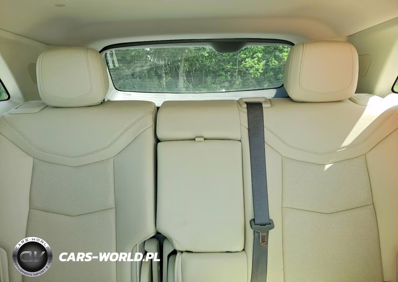 2020 Cadillac Xt5 Premium Luxury VIN:1GYKNCRS0LZ194412 - 10