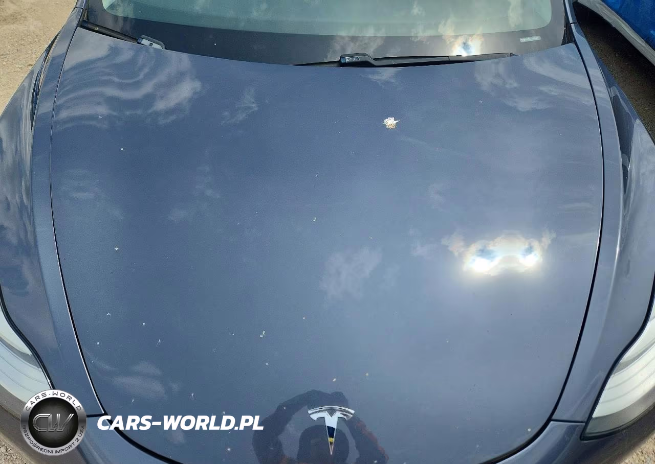 2020 Tesla Model 3 VIN:5YJ3E1EA7LF705177 - 11