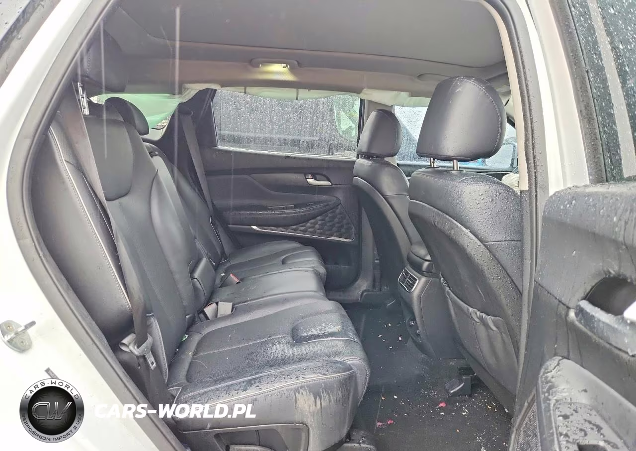 2021 Hyundai Santa Fe VIN:5NMS3DAJ4MH339686 - 10