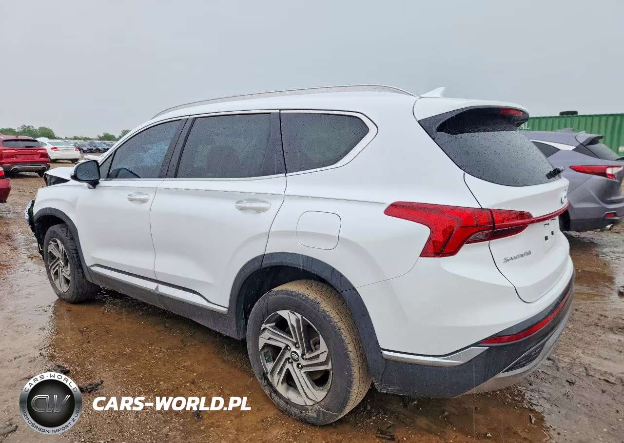 2021 Hyundai Santa Fe VIN:5NMS3DAJ4MH339686 - 2