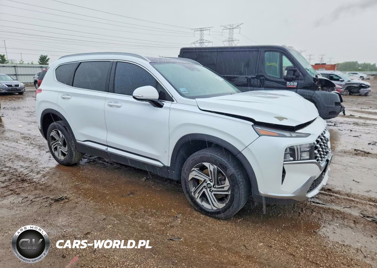 2021 Hyundai Santa Fe VIN:5NMS3DAJ4MH339686 - 4