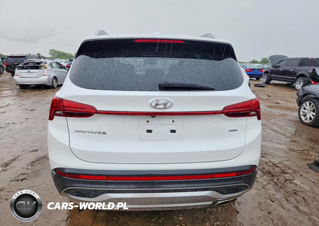 2021 Hyundai Santa Fe VIN:5NMS3DAJ4MH339686 - 6