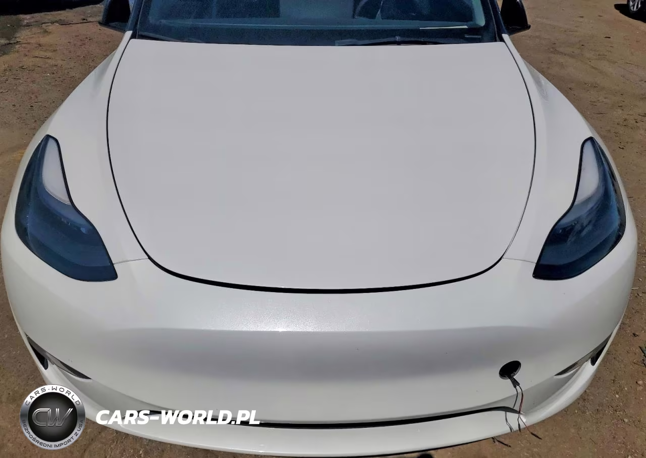 2023 Tesla Model Y VIN:7SAYGDEF0PF860093 - 11