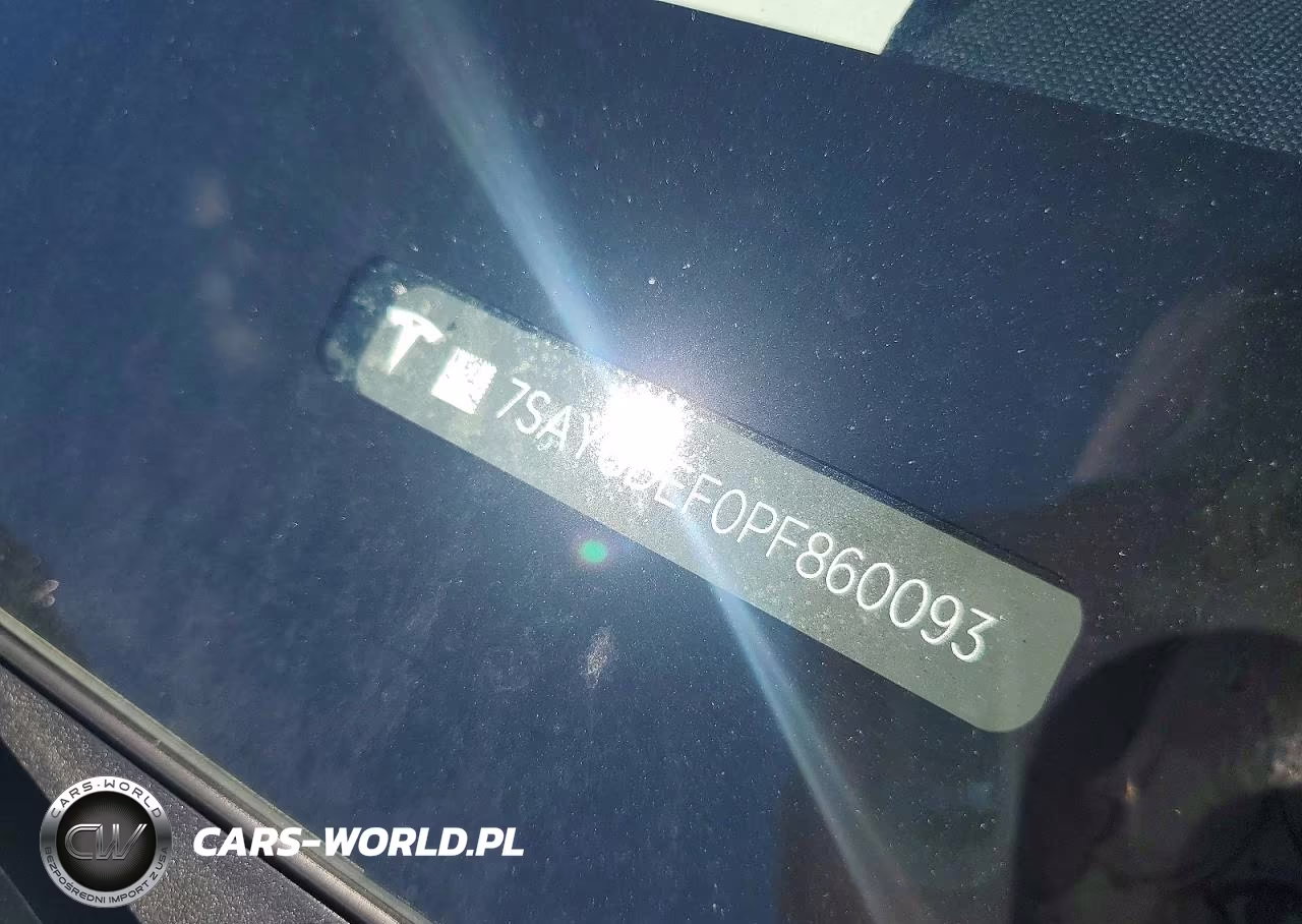 2023 Tesla Model Y VIN:7SAYGDEF0PF860093 - 12