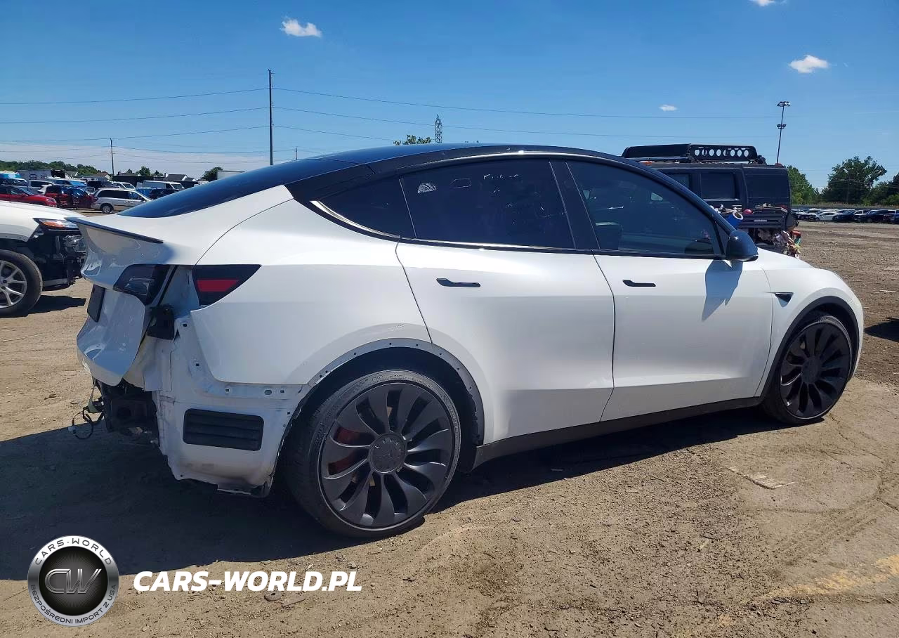 2023 Tesla Model Y VIN:7SAYGDEF0PF860093 - 3