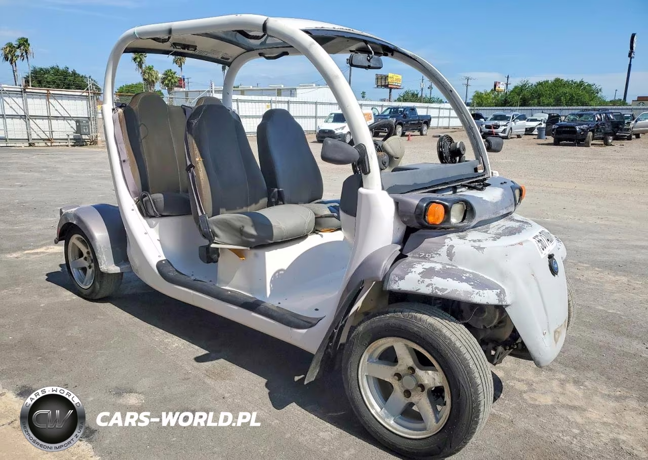 2013 Gem Icon Golf Cart - Golf Cart – zdjęcie 1 z 10