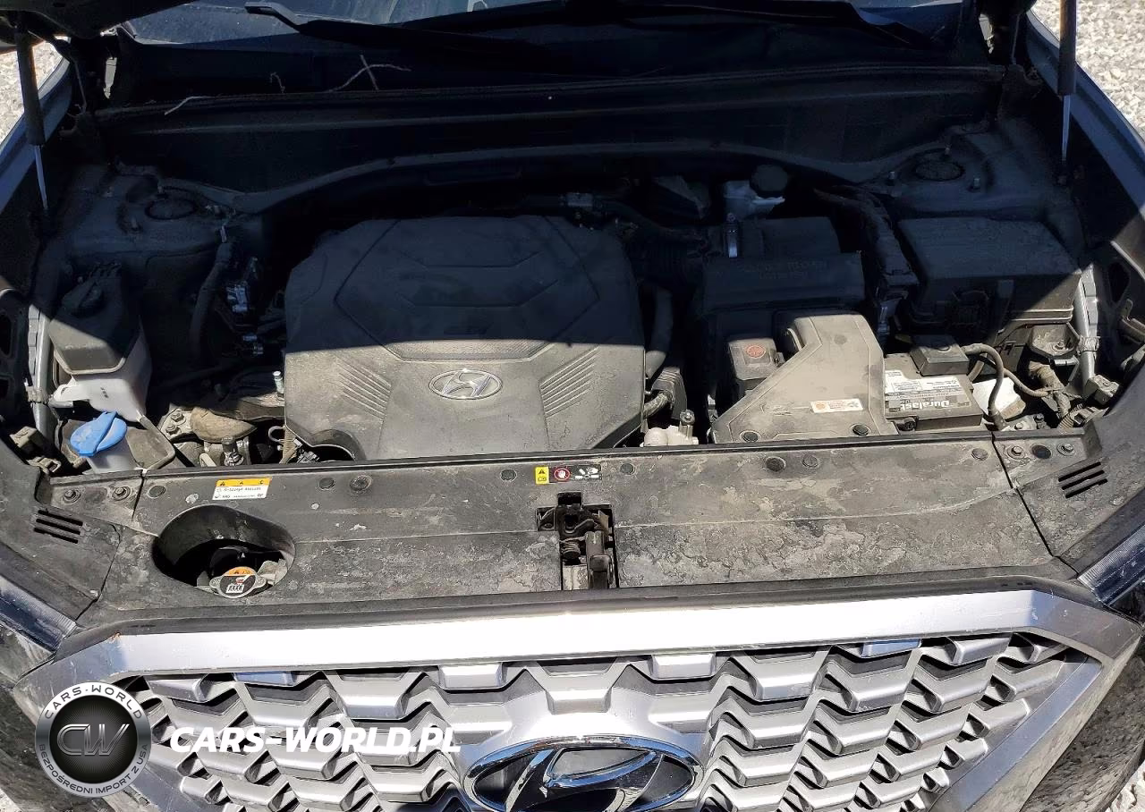 2022 Hyundai Palisade Sel VIN:KM8R4DHE8NU456388 - 11