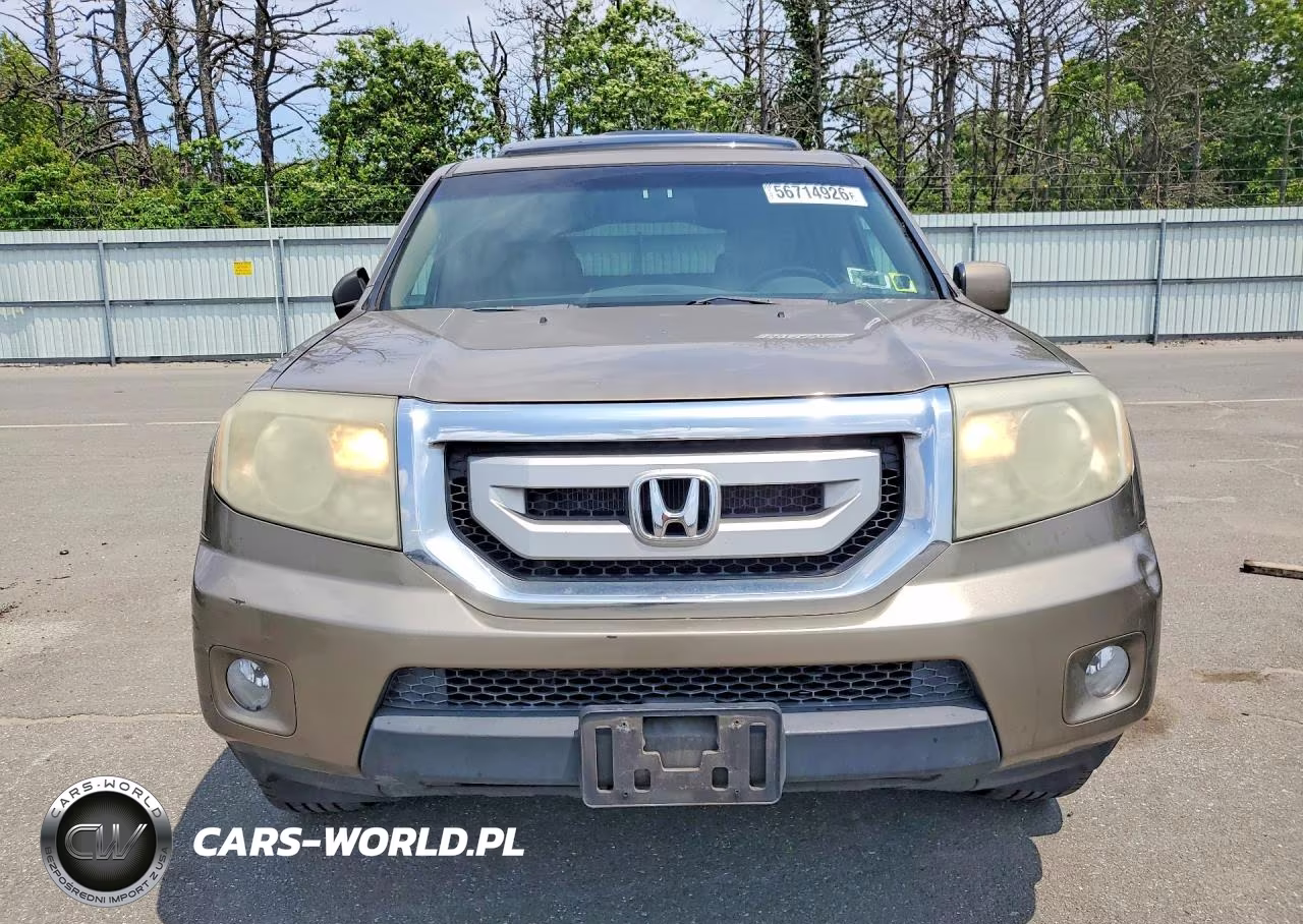 2009 Honda Pilot Exl VIN:5FNYF48689B031738 - 5