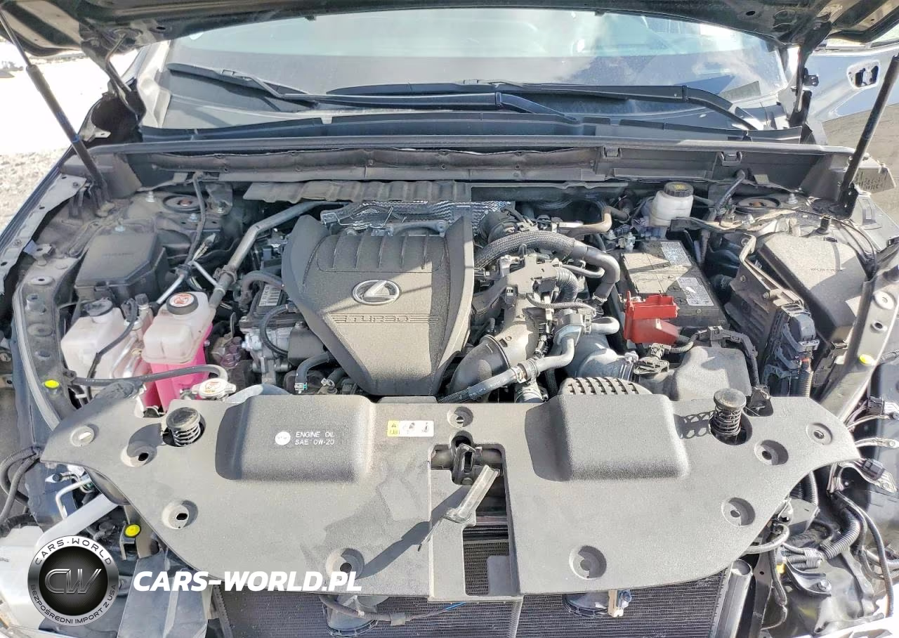 2024 Lexus Nx 350 F Sport Handling VIN:2T2KGCEZ9RC049614 - 12