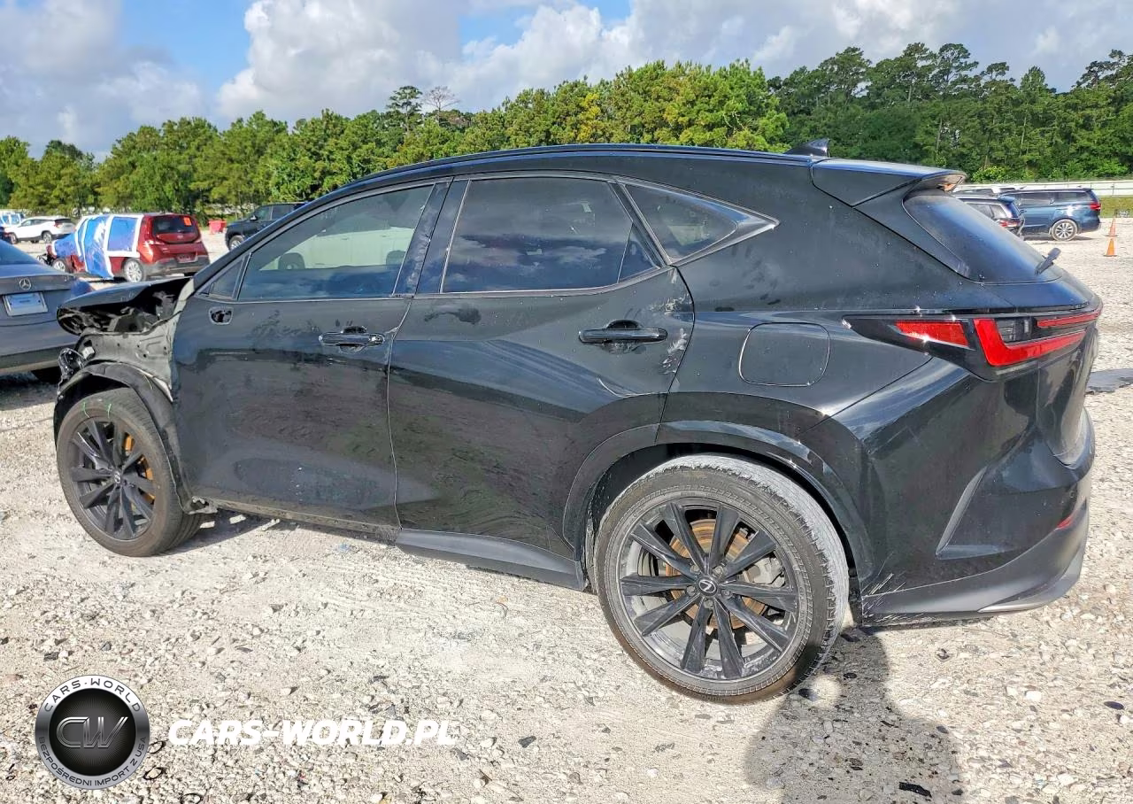 2024 Lexus Nx 350 F Sport Handling VIN:2T2KGCEZ9RC049614 - 2