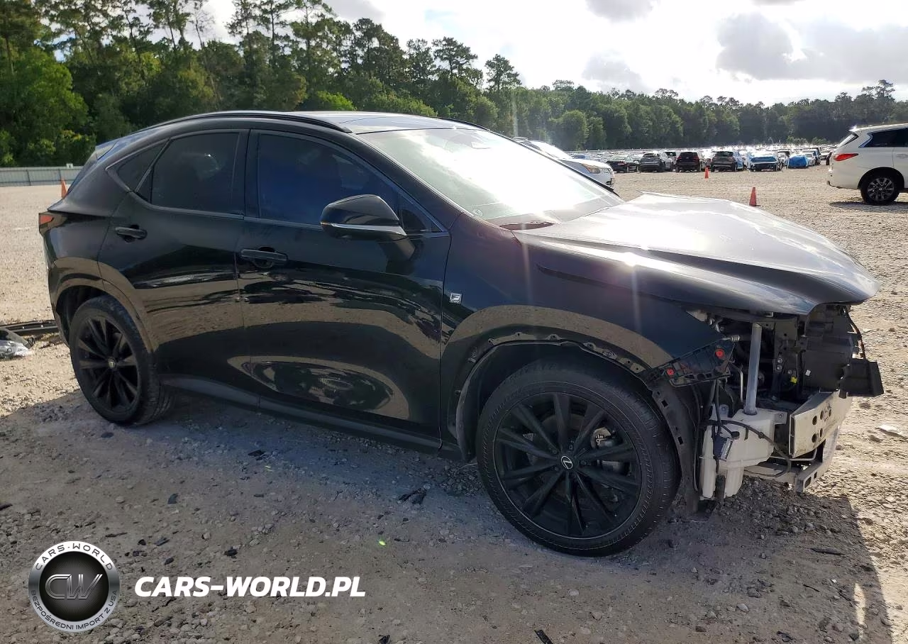 2024 Lexus Nx 350 F Sport Handling VIN:2T2KGCEZ9RC049614 - 4
