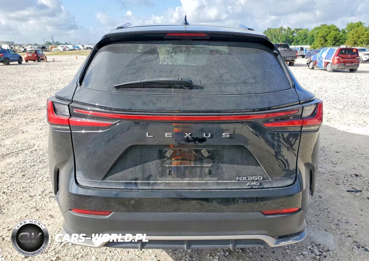 2024 Lexus Nx 350 F Sport Handling VIN:2T2KGCEZ9RC049614 - 6