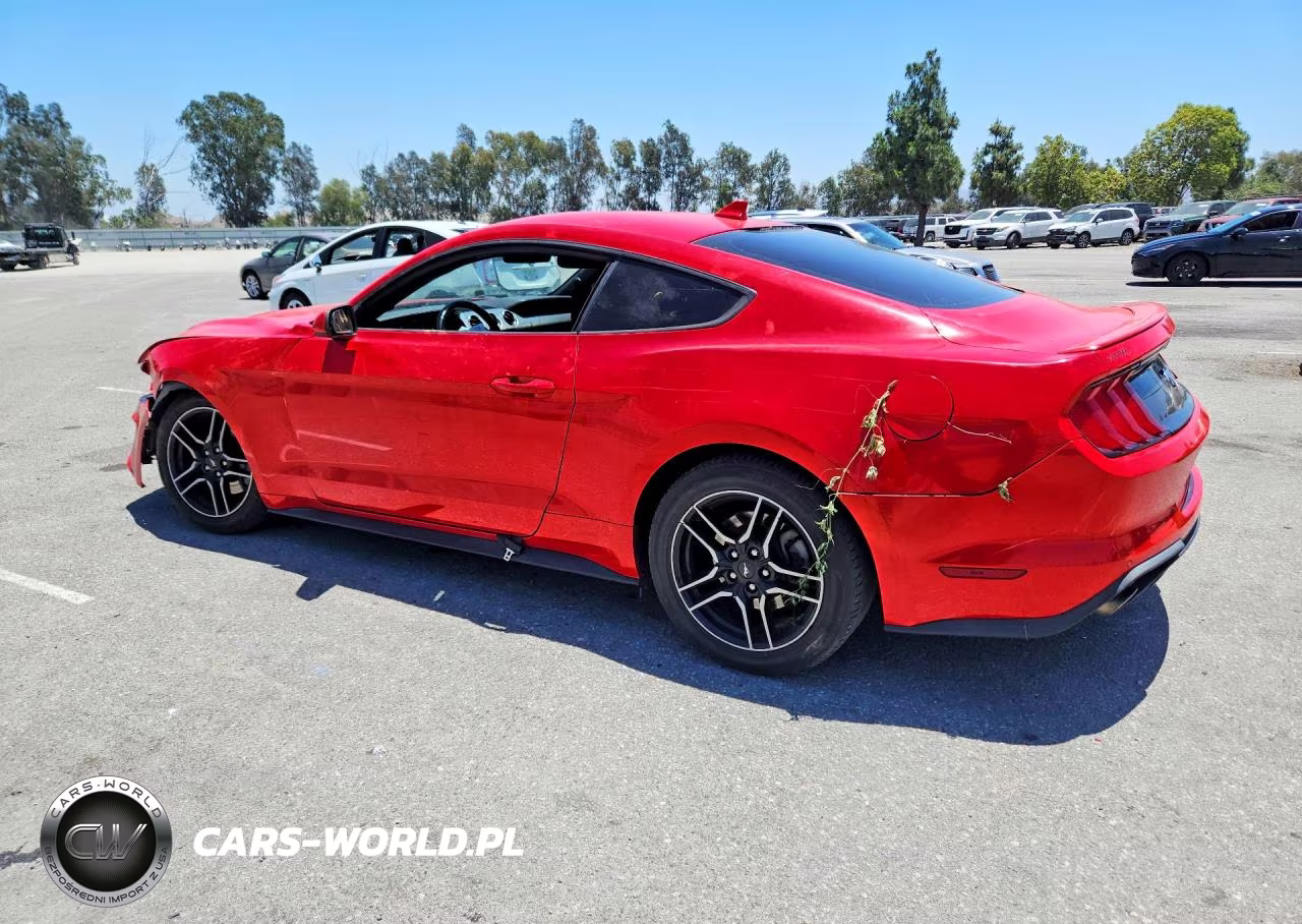 2023 Ford Mustang VIN:1FA6P8TH1P5109222 - 2
