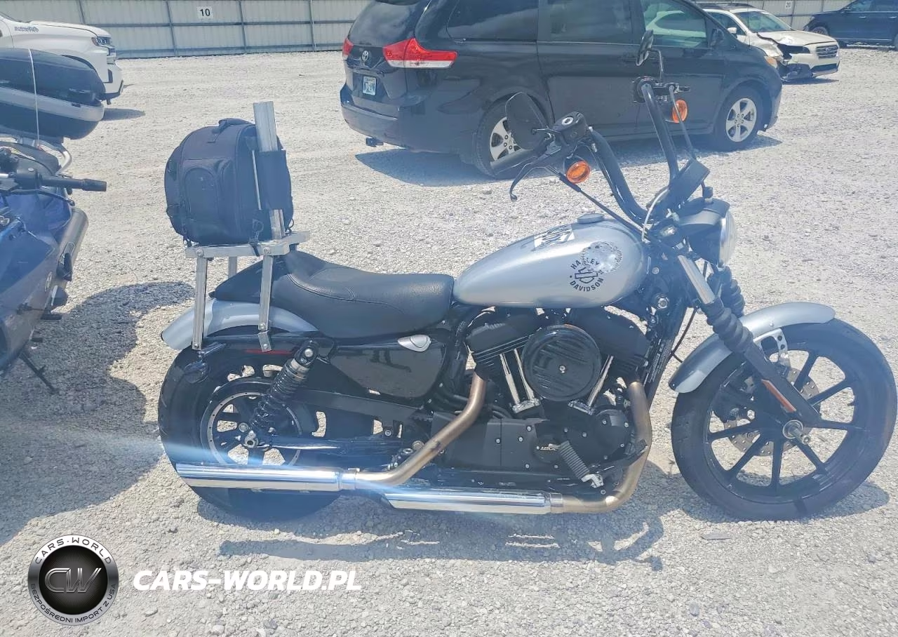 2020 Harley-Davidson Xl1200 Ns