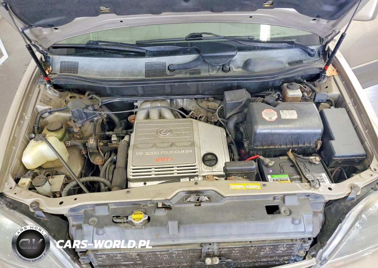2000 Lexus Rx VIN:JT6HF10U0Y0097701 - 11