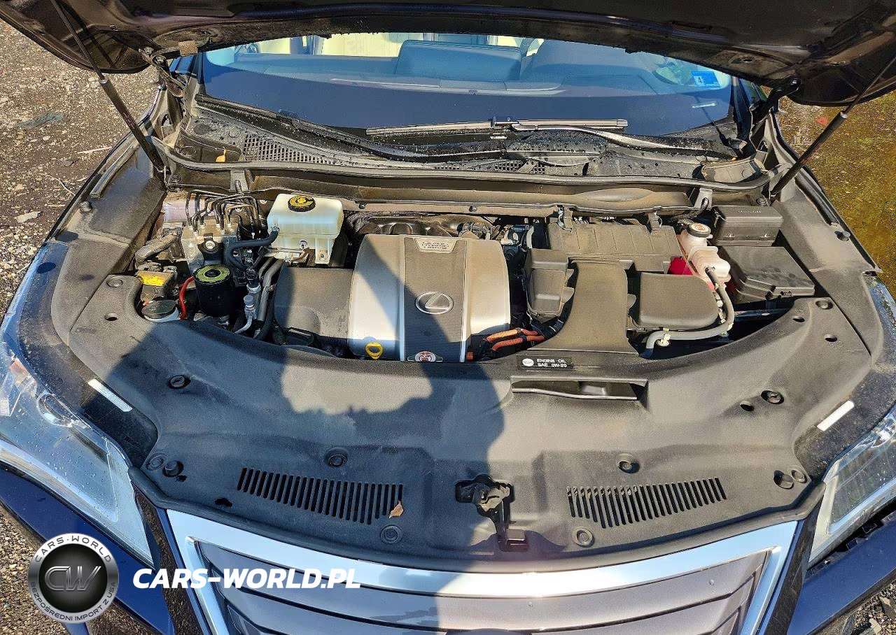 2019 Lexus Rx 450H Base VIN:2T2BGMCA9KC038055 - 12