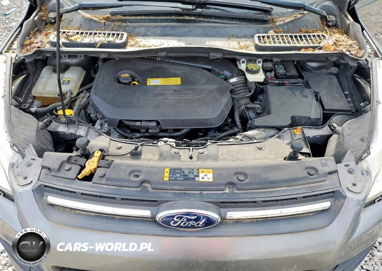 2013 Ford Escape Se VIN:1FMCU0GXXDUA99389 - 12