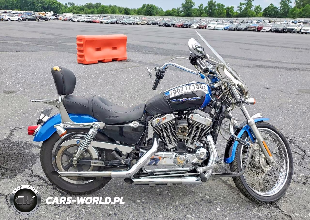 2004 Harley-Davidson Xl1200 C
