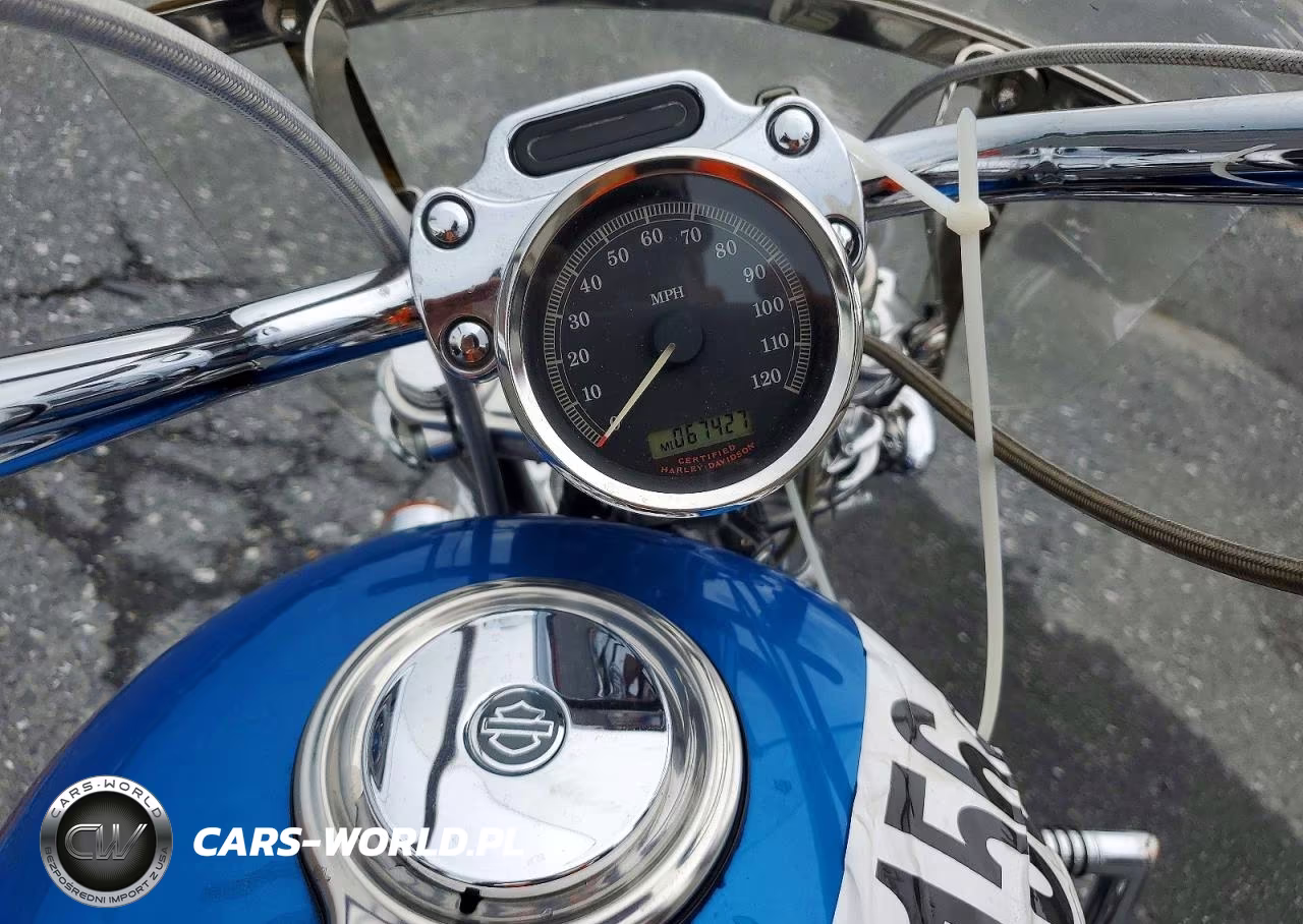 2004 Harley-Davidson Xl1200 C VIN:1HD1CGP134K439785 - 7