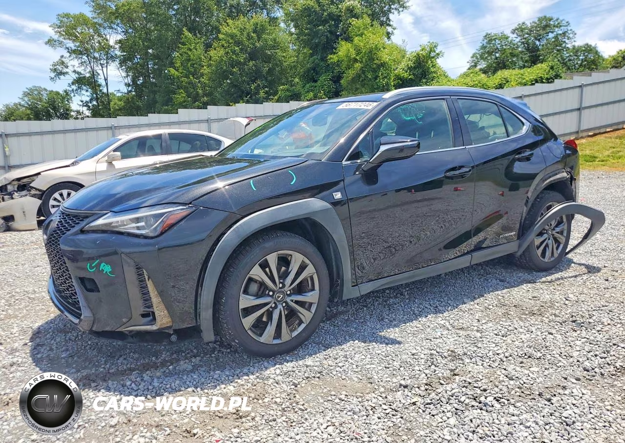 2019 Lexus Ux 250H