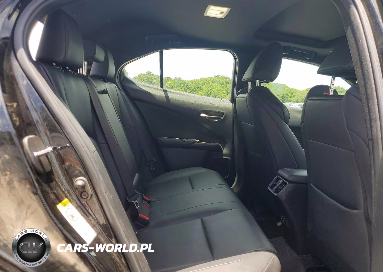 2019 Lexus Ux 250H VIN:JTHU9JBH3K2002007 - 10