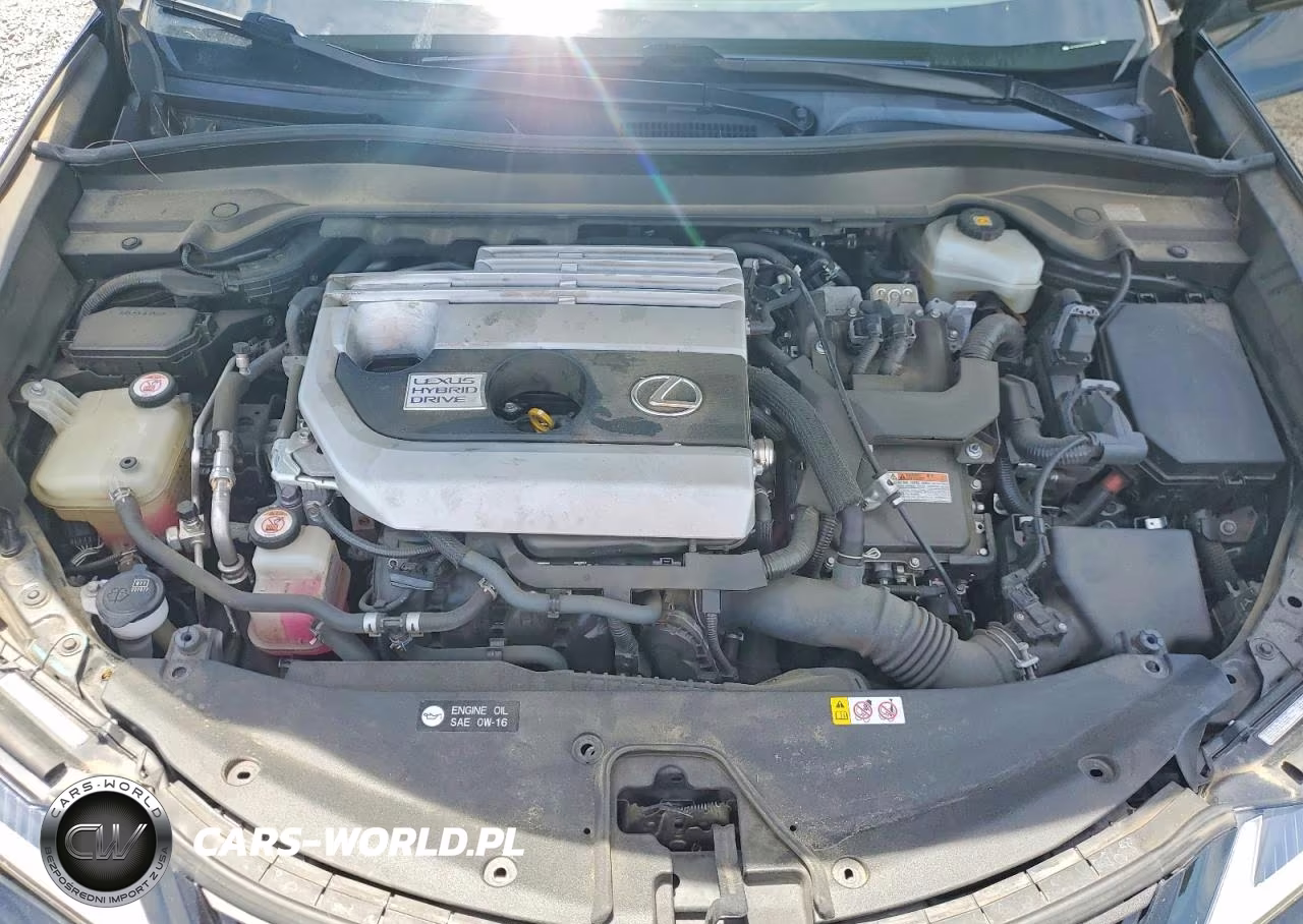2019 Lexus Ux 250H VIN:JTHU9JBH3K2002007 - 11
