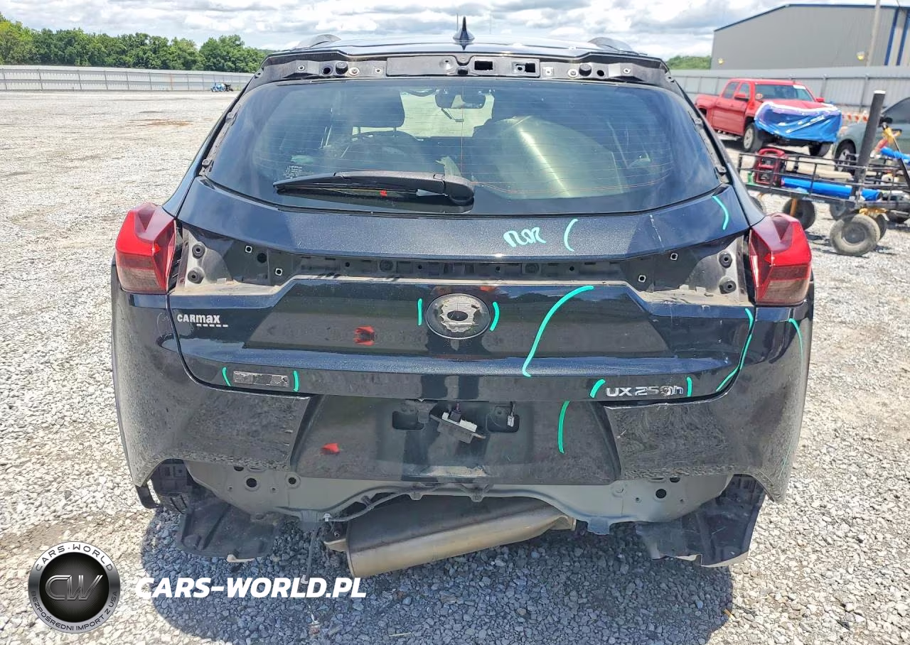 2019 Lexus Ux 250H VIN:JTHU9JBH3K2002007 - 6