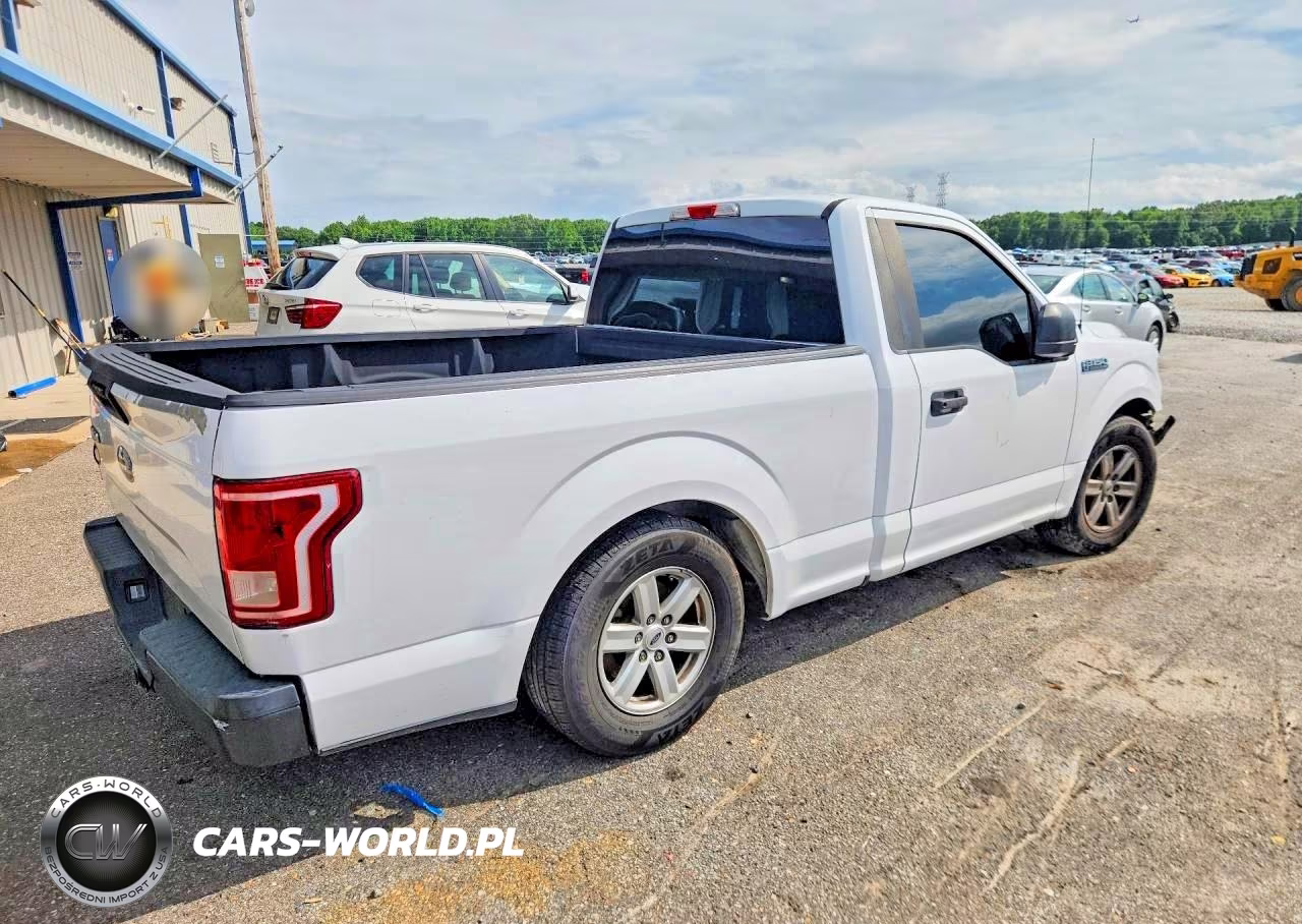 2015 Ford F150 VIN:1FTMF1CP9FKE52959 - 3