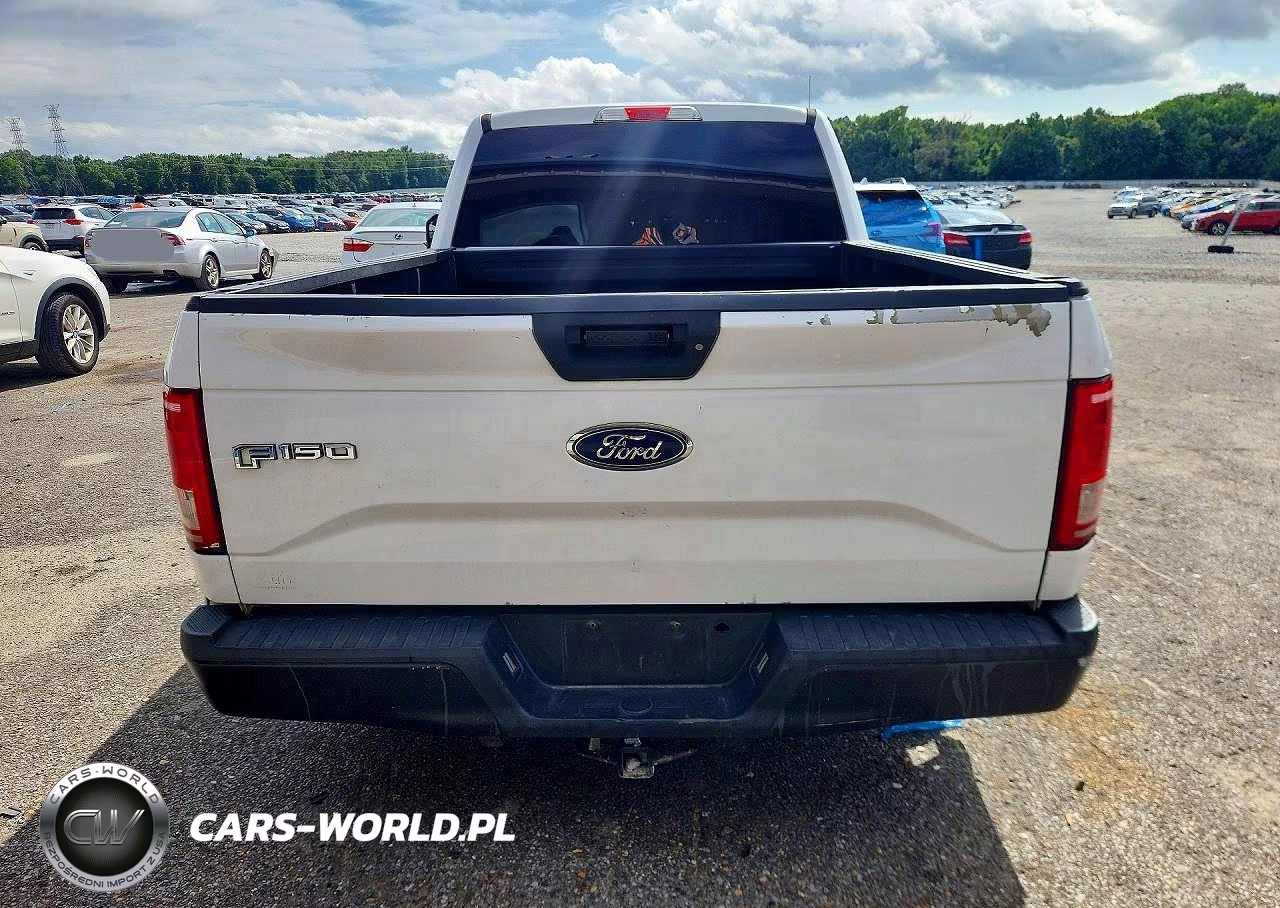 2015 Ford F150 VIN:1FTMF1CP9FKE52959 - 6