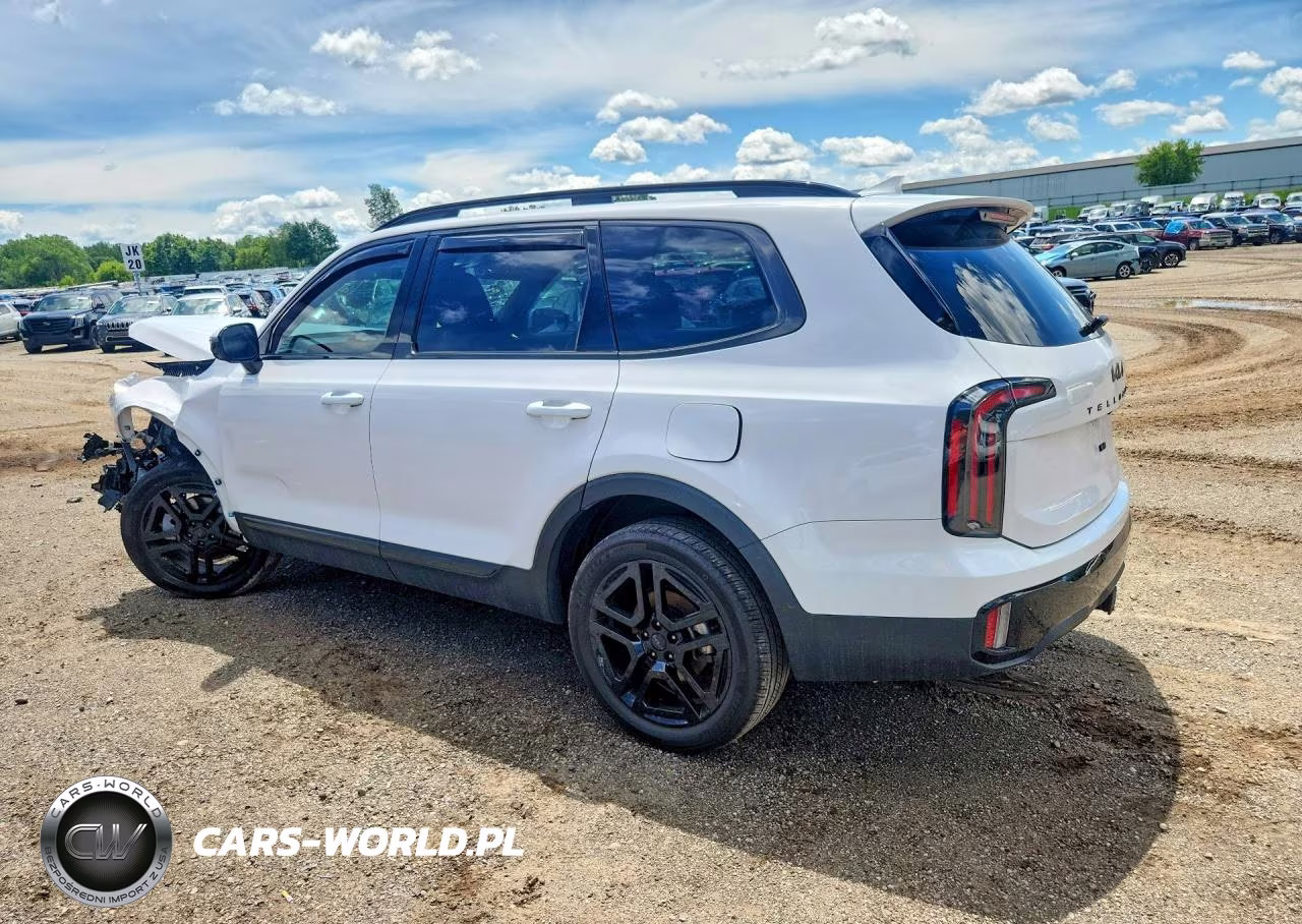 2025 Kia Telluride Sx-Prestige X-Line VIN:5XYP5DGC5SG606236 - 2