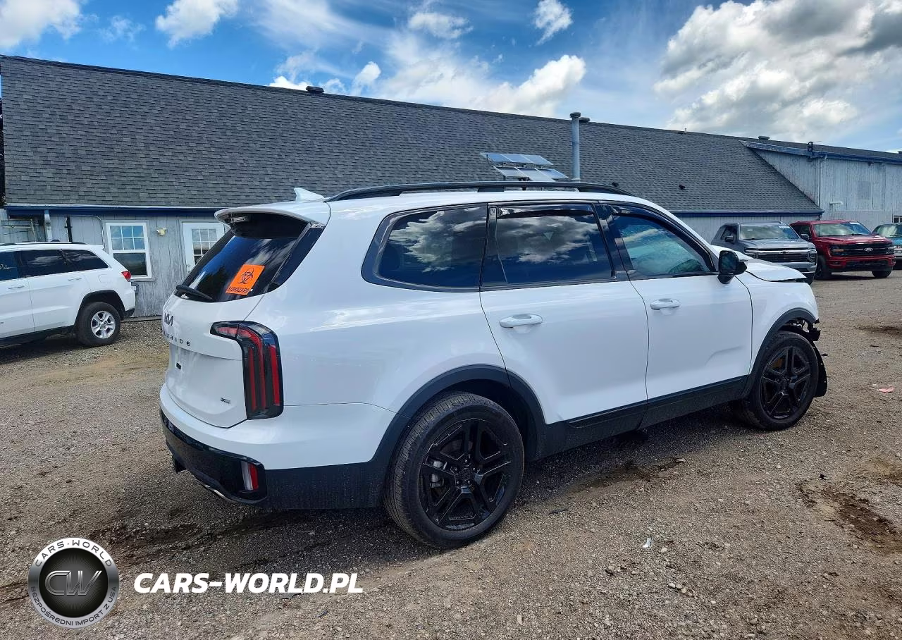 2025 Kia Telluride Sx-Prestige X-Line VIN:5XYP5DGC5SG606236 - 3