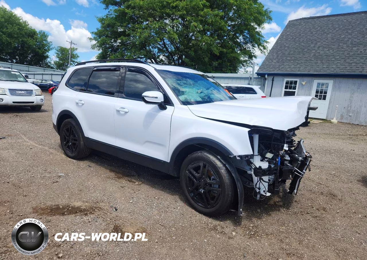 2025 Kia Telluride Sx-Prestige X-Line VIN:5XYP5DGC5SG606236 - 4