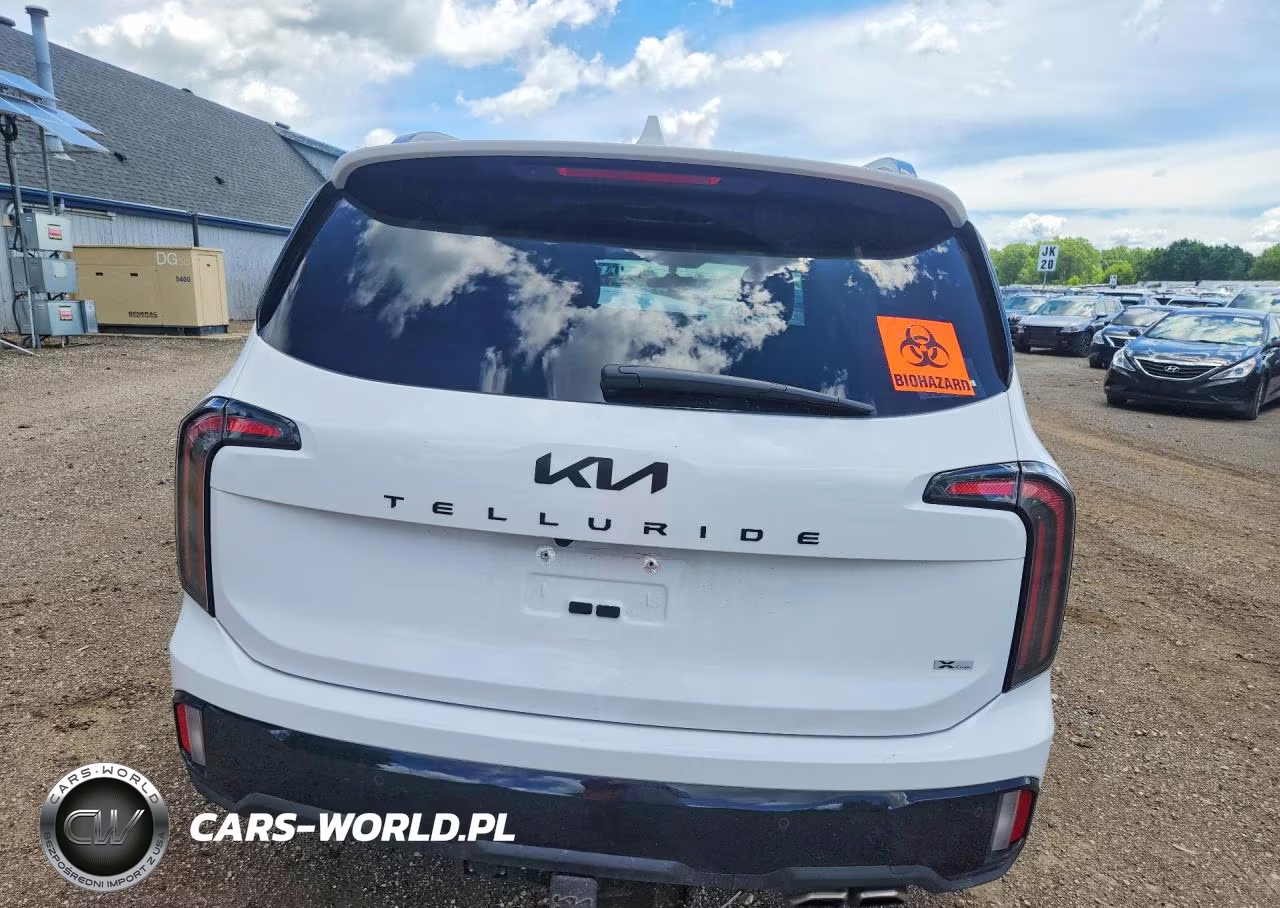 2025 Kia Telluride Sx-Prestige X-Line VIN:5XYP5DGC5SG606236 - 6