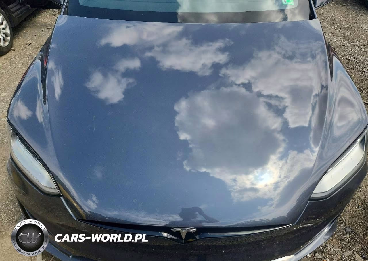 2023 Tesla Model X VIN:7SAXCAE58PF389713 - 12