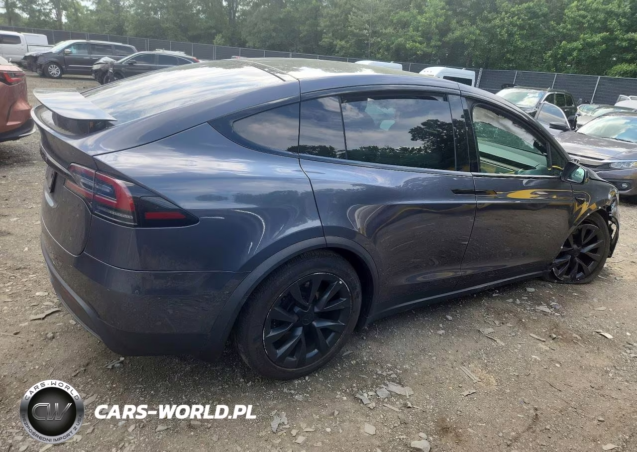 2023 Tesla Model X VIN:7SAXCAE58PF389713 - 3